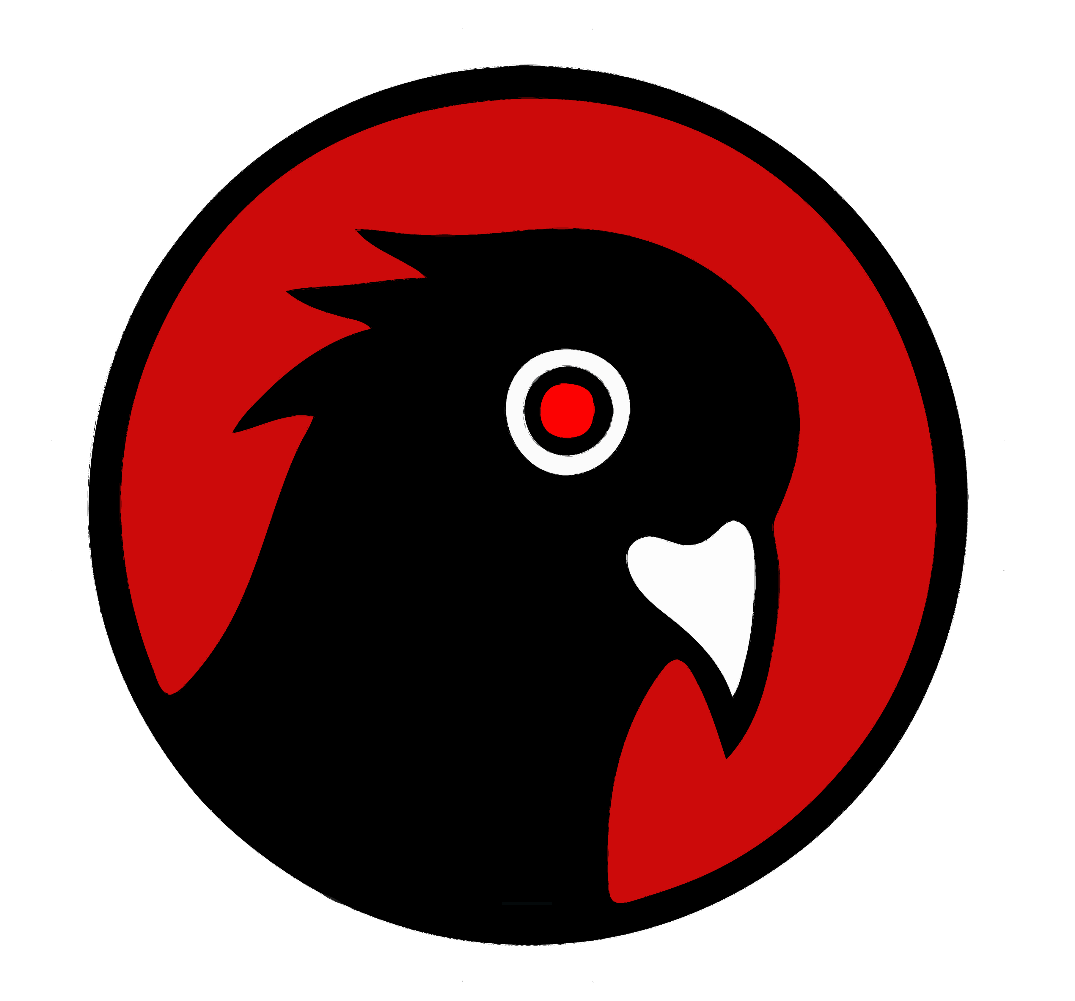black pigeon speaks t shirt